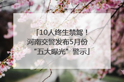 10人终生禁驾！河南交警发布5月份“五大曝光”警示